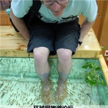 全国亲亲鱼疗馆招收加盟，免收加盟费上门指导服务13928819593！