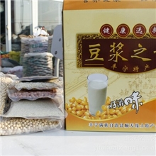 特色厂家供应批发健康营养食品豆浆之母好滋味