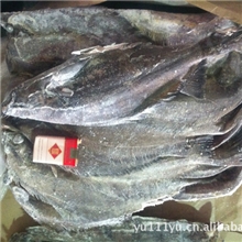 供应整条格陵兰比目鱼原料（黑鲽鱼、庸鲽鱼）