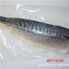 供应挪威鲐鱼片