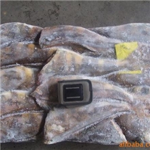 供应六线鱼原料（多线鱼、黄鱼）