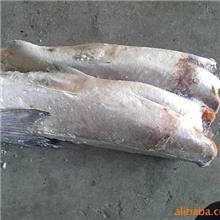 供应银鲑鱼原料