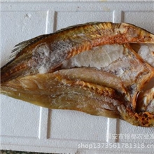 【锦都】大量供应新鲜活鱼优质大鲈鱼肉质鲜嫩量大从优