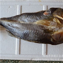 【锦都】厂家直销新鲜活鱼优质大鲈鱼肉质鲜嫩量大从优