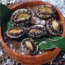 供应大连鲍鱼优质鲍鱼鲍鱼