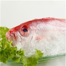 南海红目鲢鱼大眼鲷冷冻海鲜