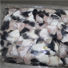 【桂派】供应鮰鱼翅