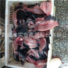 【桂派】供应鮰鱼下脚料