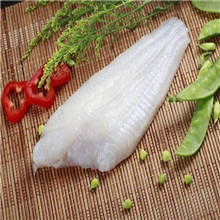 批发供应鲜嫩味美的冷冻鮰鱼片冷冻鱼片最新优惠价赶紧抢购！