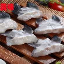 供应冷冻l鮰鱼鳍鮰鱼翅