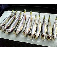 多春鱼美味ぉぃしい风干多春鱼批发厂家直销