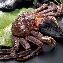 帝王蟹新鲜营养健康美味厂家直销