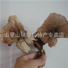 黎川特产2013年新产杆菇草菇野生稻草菇野生食用菌杆菇