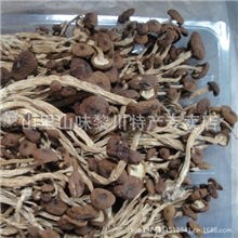 黎川特产精选茶菇茶树菇干货茶菇