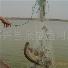 3米高91012公分(4.5、5、6指),长100米,高强度网丝三层捕鱼渔网