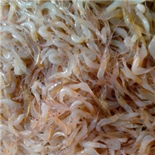 长期批发长江白米虾宜昌三峡绿色生态产品