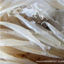冷冻水产品批发地方特产冷冻小银鱼