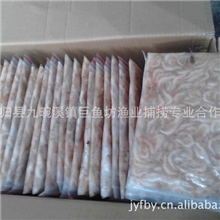 供应冷冻水产品长江宜昌三峡冻虾干虾原生态绿色健康产品