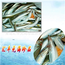 山东海产品供应-批发供应肥美面条鱼
