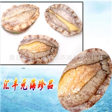 胶南批发供应各水产品苗种（海参苗、虾苗、鱼苗、鲍鱼苗等）