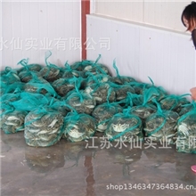 【正宗】宝应湖大闸蟹鲜美可口预定中