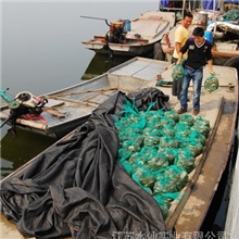 水中之霸宝应湖大闸蟹新鲜大闸蟹
