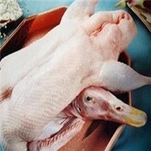 芜湖白鸭肉质鲜嫩