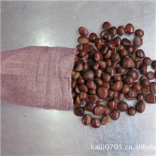 供应出口标准丹东大板栗、保鲜板栗