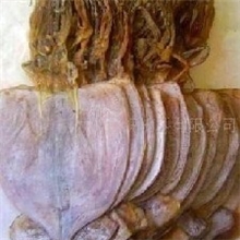 朝鲜鱿鱼干批发朝鲜干鱿鱼干鱿鱼干鱿鱼批发