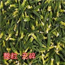 全广东最便宜的莲子心大甩卖