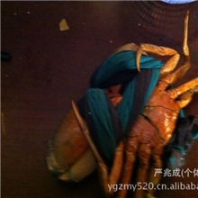 长期供应各种规格的越南野生一级肉蟹青蟹