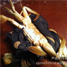 长期供应各种规格的中草青蟹肉蟹