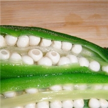 供应2013新品新鲜黄秋葵绿色无公害有机蔬菜养生菜