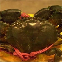 三门青蟹大红膏鲜活(过节送礼佳品)自有养殖基地