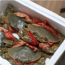 供应鲜活水产台州特产三门青蟹