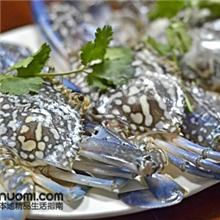 批发海鲜、螃蟹、梭子蟹、兰花蟹、红花蟹、青蟹、膏蟹等