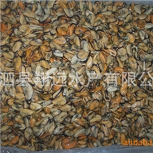 大量批发特产一级品牌淡菜干特大优质淡晒淡菜干干货