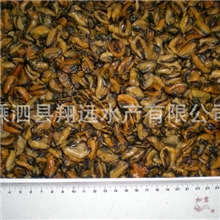 专业特级海红嵊泗淡菜干原生态品牌野生淡菜干厂家批发