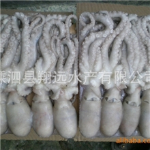 供应朝鲜章鱼真章鱼八爪章鱼冻章鱼FROZENPOULPSQUID