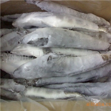 特色冻品海鲜鱼虾蟹贝类&mdash;原装单冻南极冰鱼量大优惠！