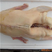 供应鹅肉
