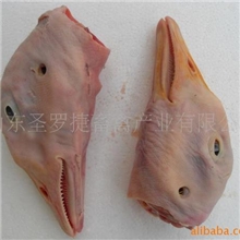 供应朗德鹅鹅头