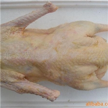 供应法国朗德鹅光鹅体