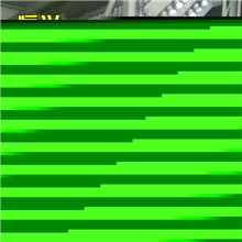 供应高产肉鸽种鸽，欢迎订购！