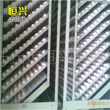 恒兴肉鸽场供应种鸽，最专业的生产商！