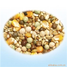 供应种鸽颗粒饲料