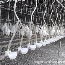 供应鸽子自动饮水器，鸽子自动饮水杯(大口）