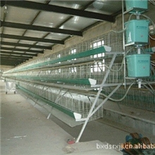 鸡笼，蛋鸡笼，雏鸡笼