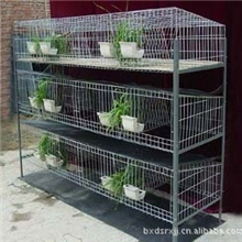 仔母兔笼，兔子笼，兔笼设备