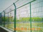 厂家直销外观鲜亮，质优价廉的框架网护栏网